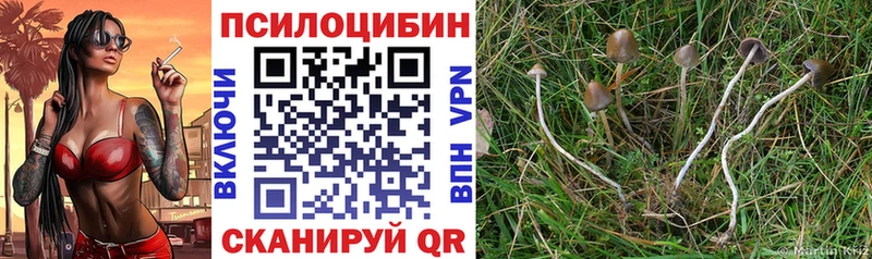 Псилоцибиновые грибы GOLDEN TEACHER Краснокаменск